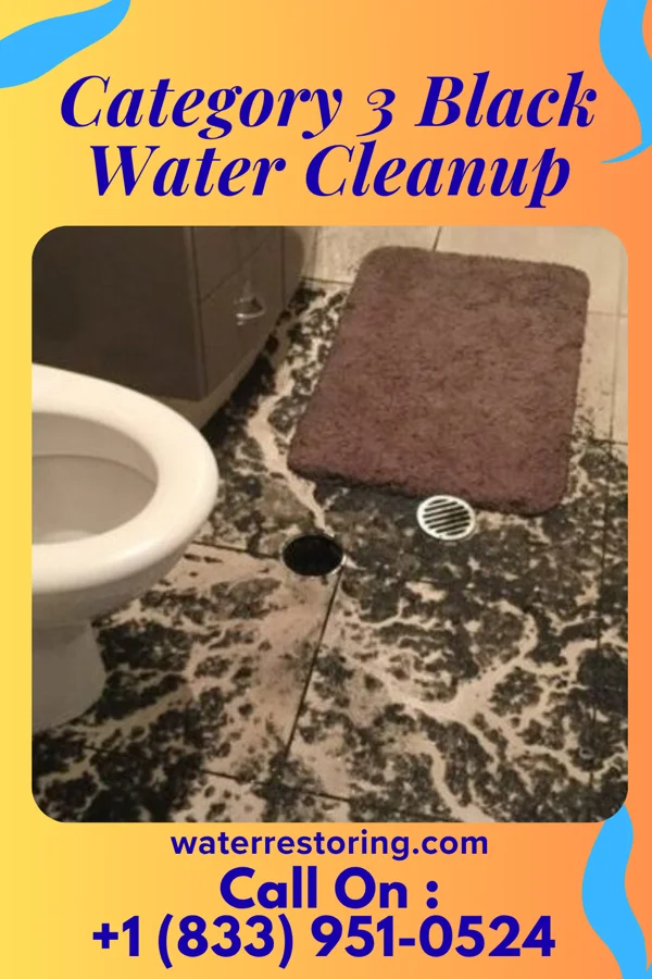 Category 3 Black Water Cleanup in Ranlo, NC