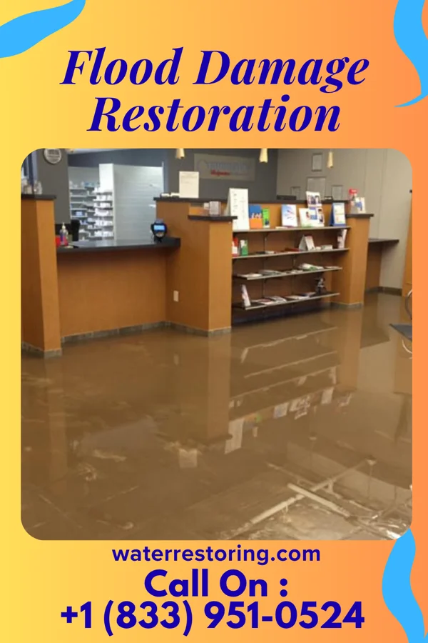 Flood Damage Restoration in Ranlo, NC